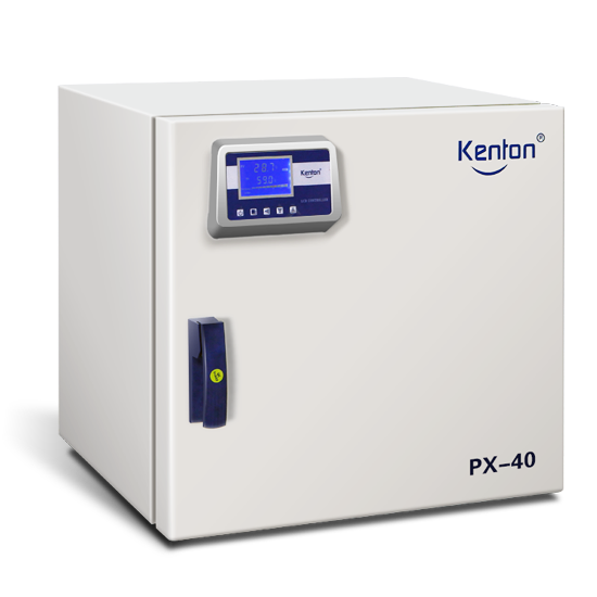 PX Thermostatic Incubator