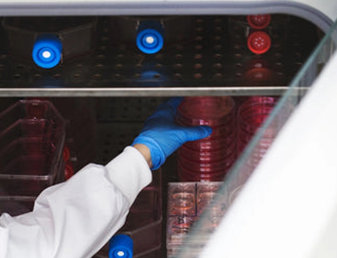 Why is Incubator Essential for Modern Research？