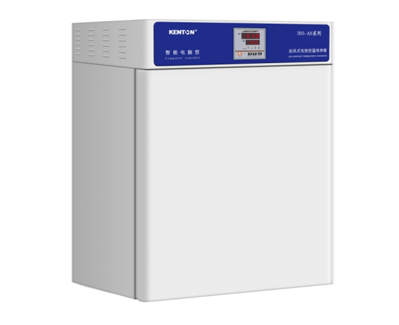 303AS Stainless Steel Cell Incubator