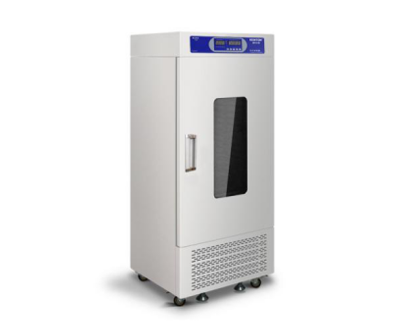BS Shaking Incubator
