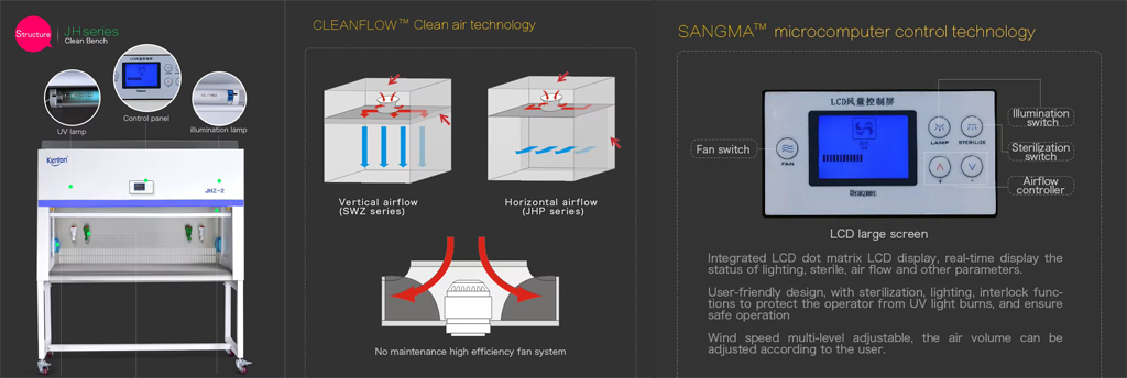 Ergonomic Workstation Design