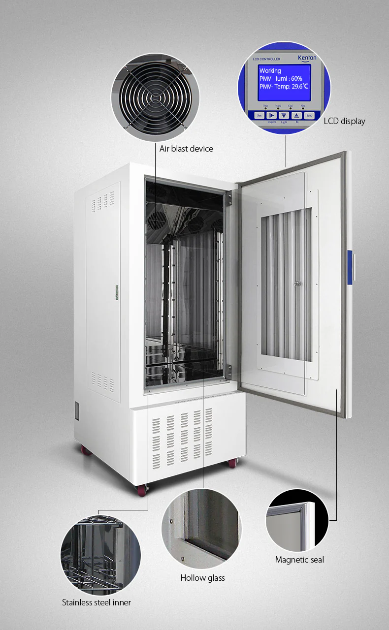 LC Lighting Incubator.webp