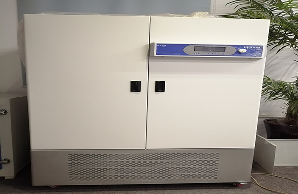 Professional plant growth chamber