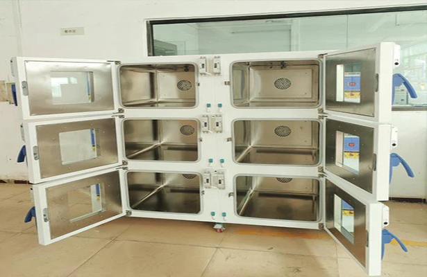 Kenton customises six ovens to meet high-standard quality and performance requirements